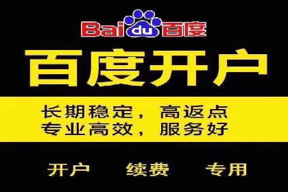 信息流广告投放公司案例策略解析
